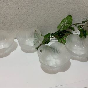New Vintage 1980s Mikasa Frosted Scallop Shell 6" Salad Bowl Set of 4 G11